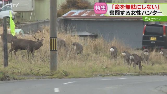 STVニュース北海道