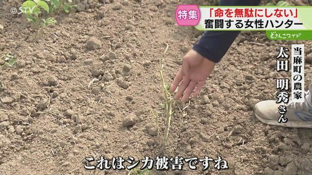 STVニュース北海道