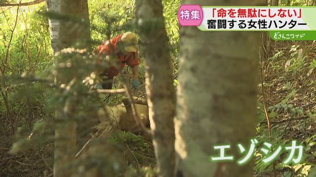 STVニュース北海道