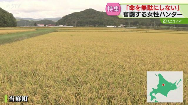 STVニュース北海道