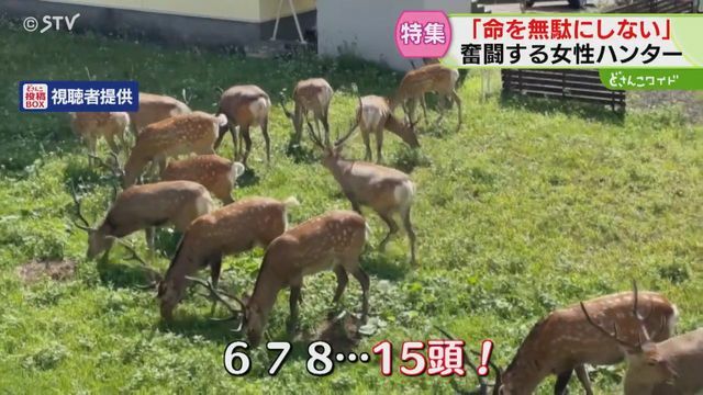 STVニュース北海道