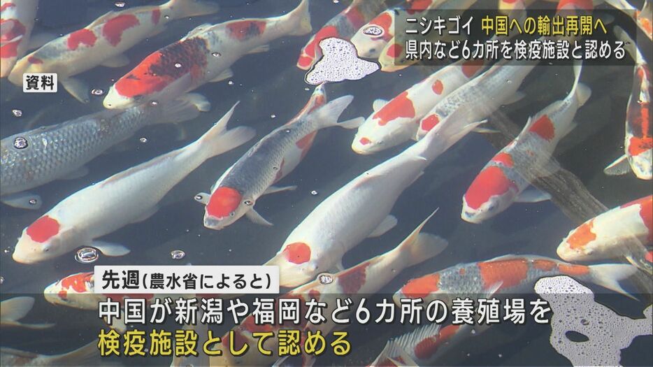 県内など6カ所を検疫施設と認める