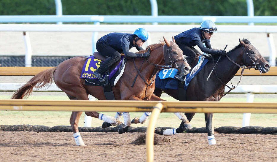 １週前追い切り時のビザンチンドリーム（左）