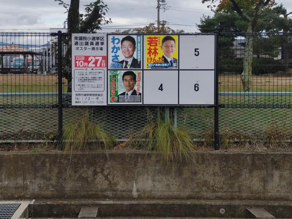 衆院選長野1区の選挙ポスター。女性候補はいない