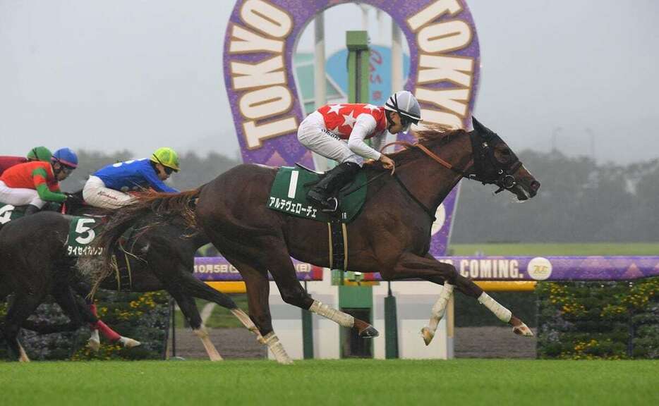 サウジアラビアRCを制したアルテヴェローチェと佐々木大輔騎手＝5日、東京競馬場（撮影・奈良武）