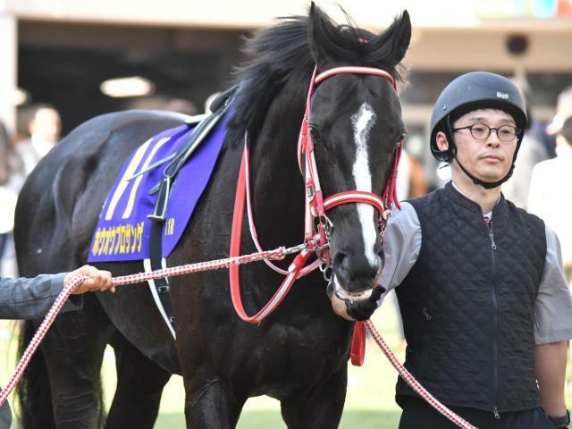 特別初勝利を目指すホウオウプロサンゲ(今年4月撮影、ユーザー提供：はあちゃまさん)