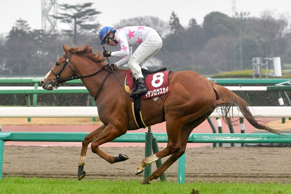 中山記念を制したマテンロウスカイ