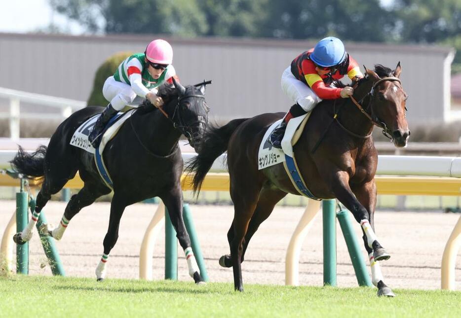 悠々と抜け出すキングノジョー（右）＝東京競馬場