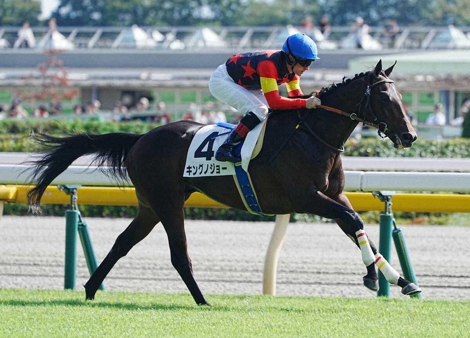 ＜東京5R新馬戦＞レースを制したキングノジョー（撮影・郡司　修）