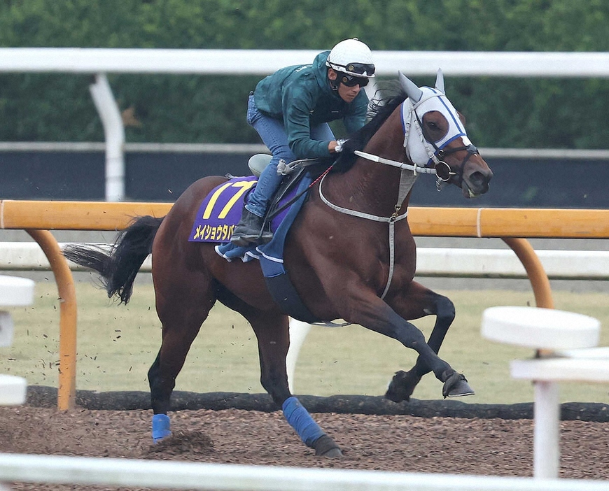 浜中を背に好時計をマークしたメイショウタバル