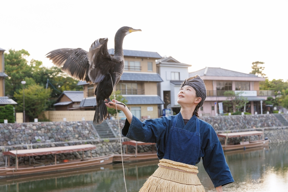 宇治でしか見られない放ち鵜飼