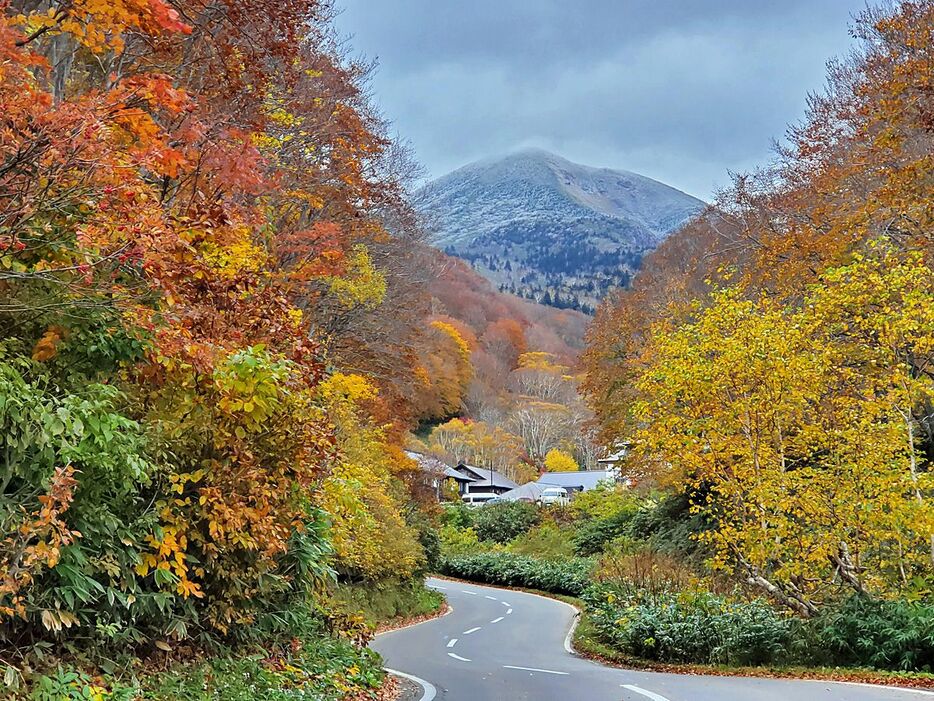 山頂付近が雪化粧した八甲田の大岳。紅葉とのコントラストが見られた＝20日午前8時半ごろ、青森市の酸ケ湯温泉付近（酸ケ湯温泉・高田さん提供）