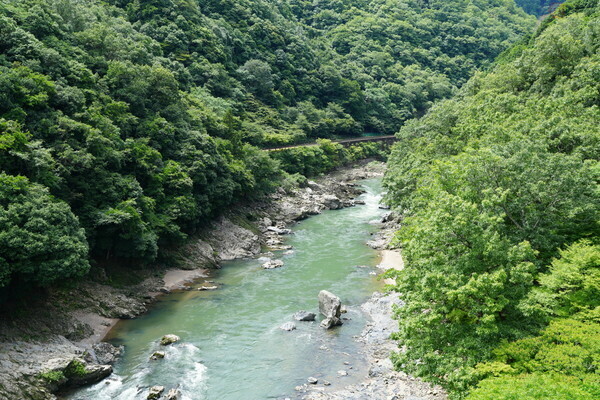 駅下は保津川渓谷で絶景（安藤昌季撮影）。