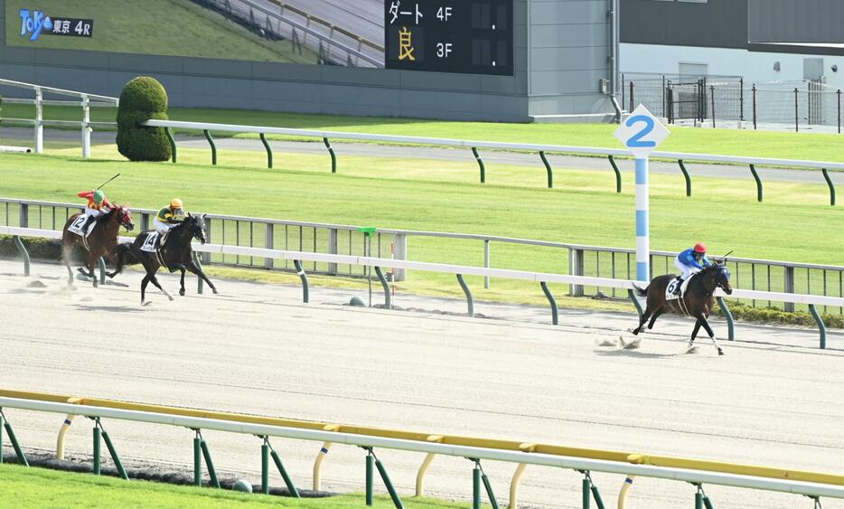 　２歳新馬を圧勝したベンヌ（右）＝撮影・棚橋慶太