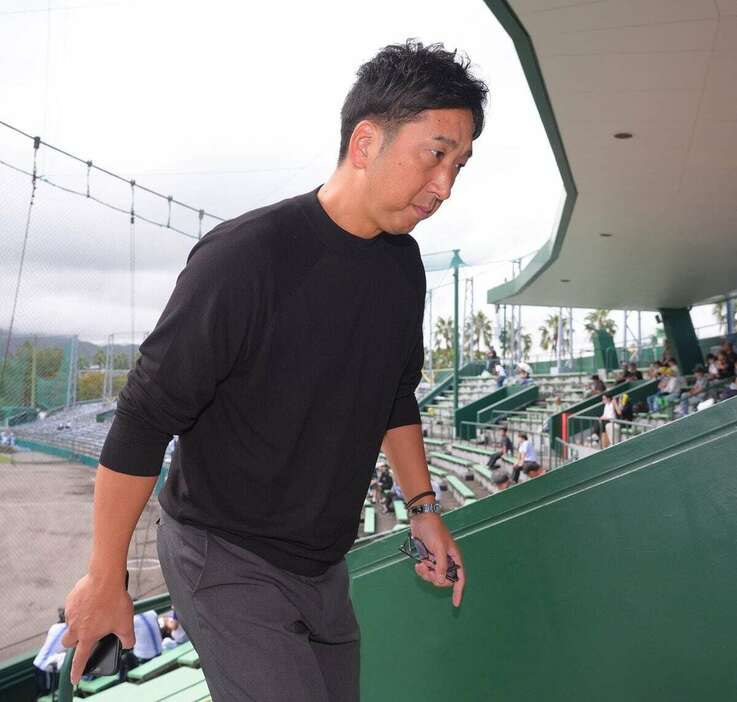 フェニックス・リーグを視察した阪神・藤川球児監督＝ひなたひむかスタジアム