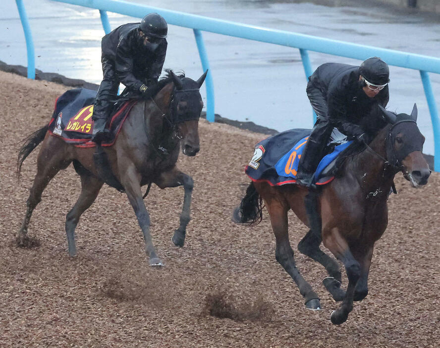 レガレイラ（左）は美浦ウッドを併せ馬で追い切られた（撮影・丹羽敏通）