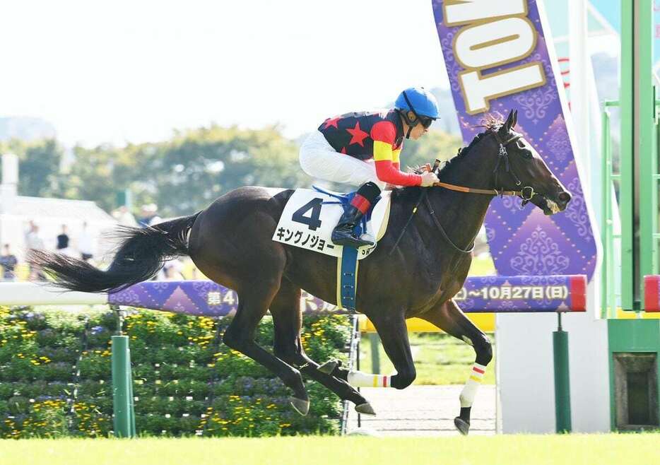 キングノジョー＝２１日、東京競馬場