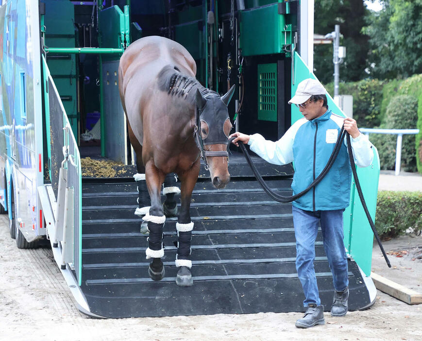 東京競馬場に到着したリバティアイランド（撮影・鈴木正人）