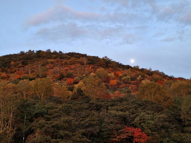 今週撮影、山を紅く染める見事な紅葉