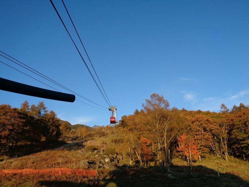 ロープウェイ山麓駅周辺では美しい紅葉を楽しめる