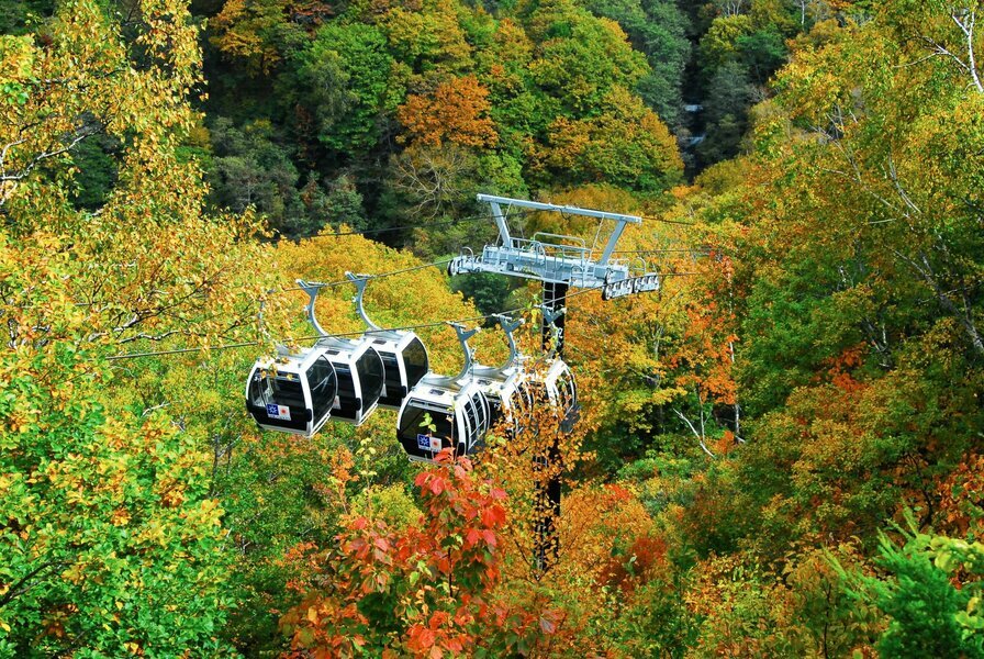 週を重ねるごとに山が赤、黄に染まりゆく（写真は志賀高原）