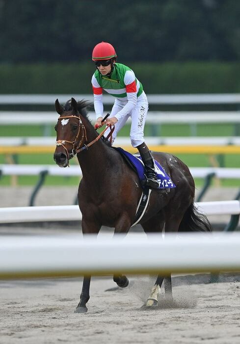 天皇賞・秋で2着に敗れたタスティエーラ＝27日、東京競馬場（撮影・奈良武）