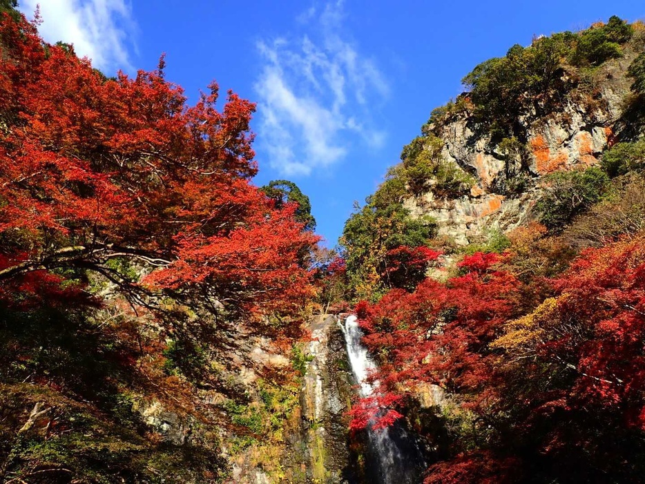 大阪・箕面大滝