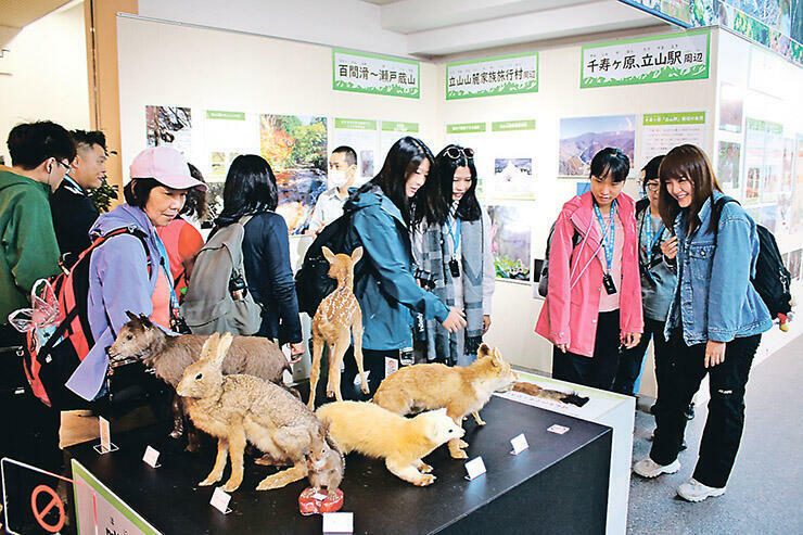 剥製標本やパネルで立山山麓の魅力を発信する特別展