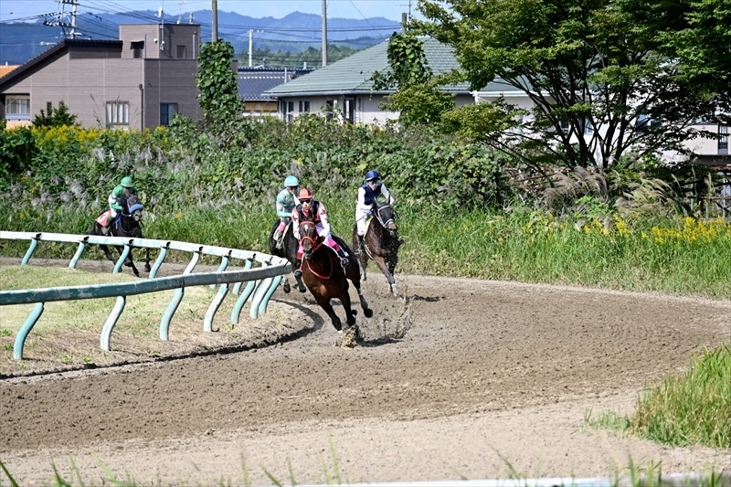 迫力ある草競馬を繰り広げる騎馬会員