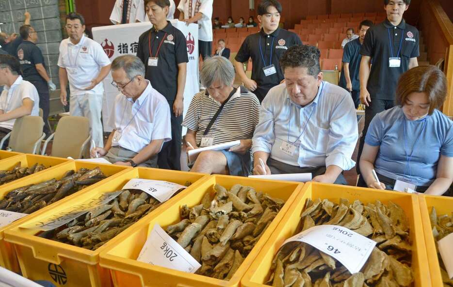 かつお節を入札する業者＝１７日、指宿市役所山川庁舎