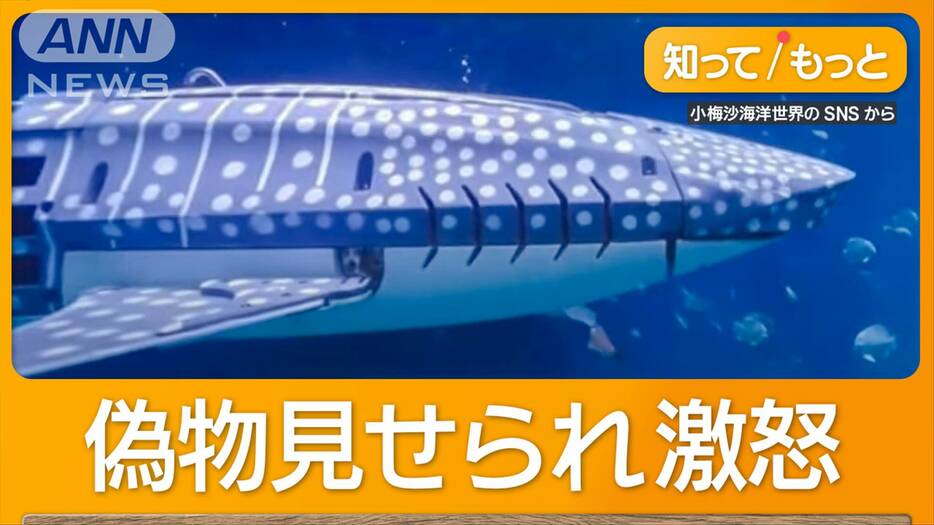 水族館の目玉ジンベエザメ　ロボットだった！客激怒　10万人訪問“返金要求”も　中国