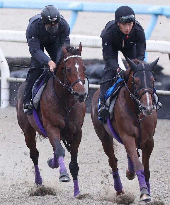 併せ馬にてポリトラックで追い切るドウデュース（左）（撮影・亀井直樹）