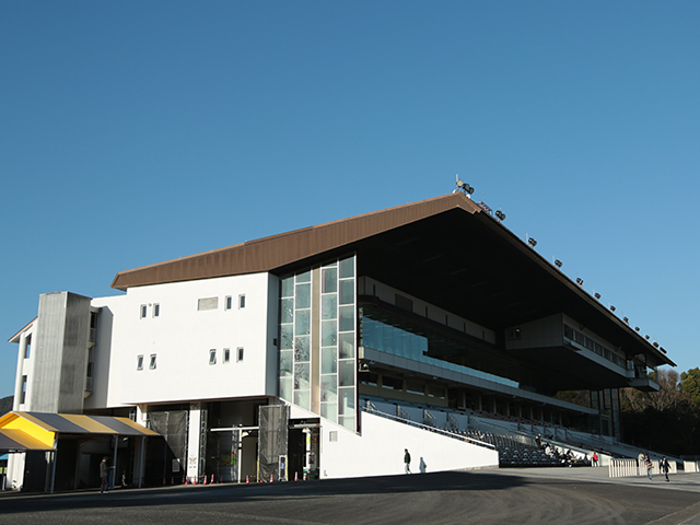 レースが行われた高知競馬場(c)netkeiba