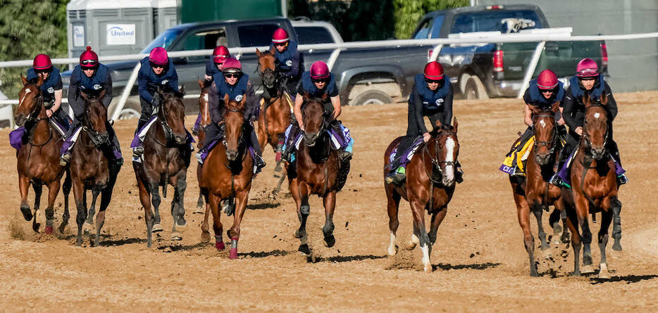 30日朝のエイダン・オブライエン厩舎（C）Scott Serio／Eclipse Sportswire／Breeders Cup