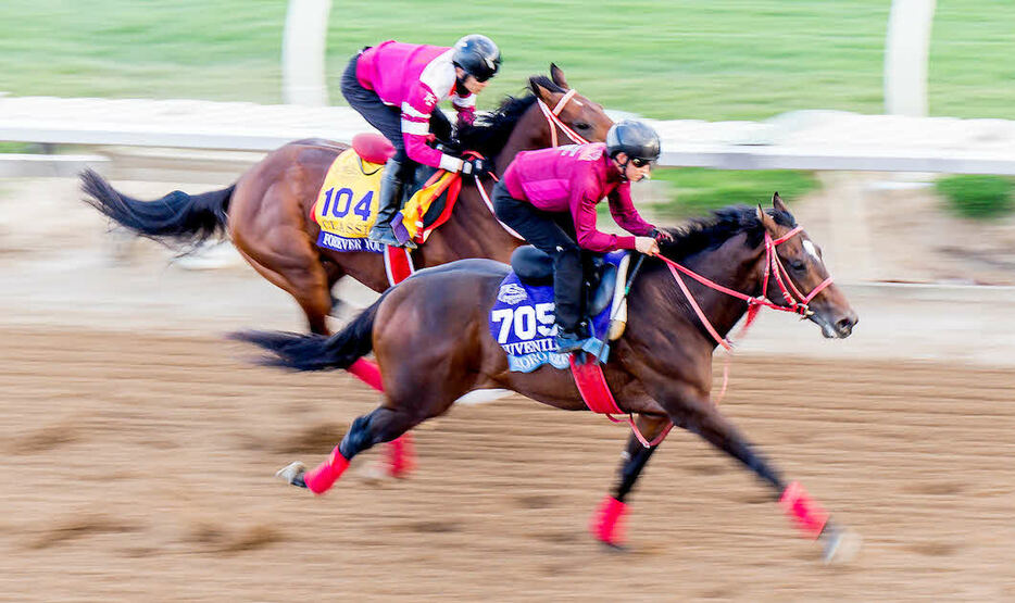 フォーエバーヤングと坂井騎手（奥）（C）Scott Serio／Eclipse Sportswire／Breeders Cup