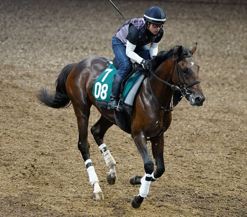 日本ダービー馬ロジャーバローズを半兄に持つファラオ