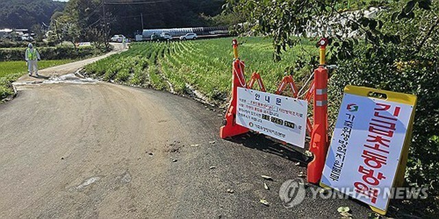 高病原性鳥インフルエンザが発生した養鶏場＝30日、東海（聯合ニュース）