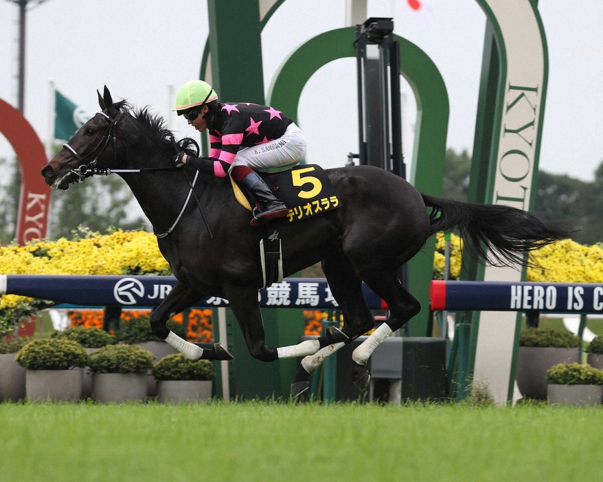 ＜萩S＞勝利したテリオスララ（撮影・岸　良祐）