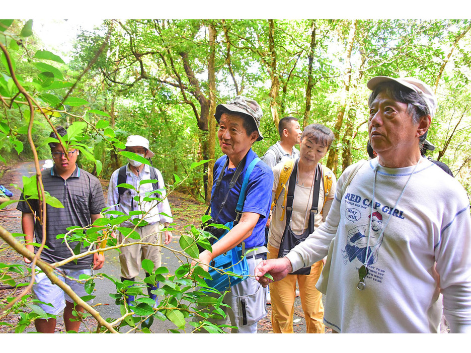 道路沿いの植物を確認する受講者ら＝6日、鹿児島県宇検村湯湾