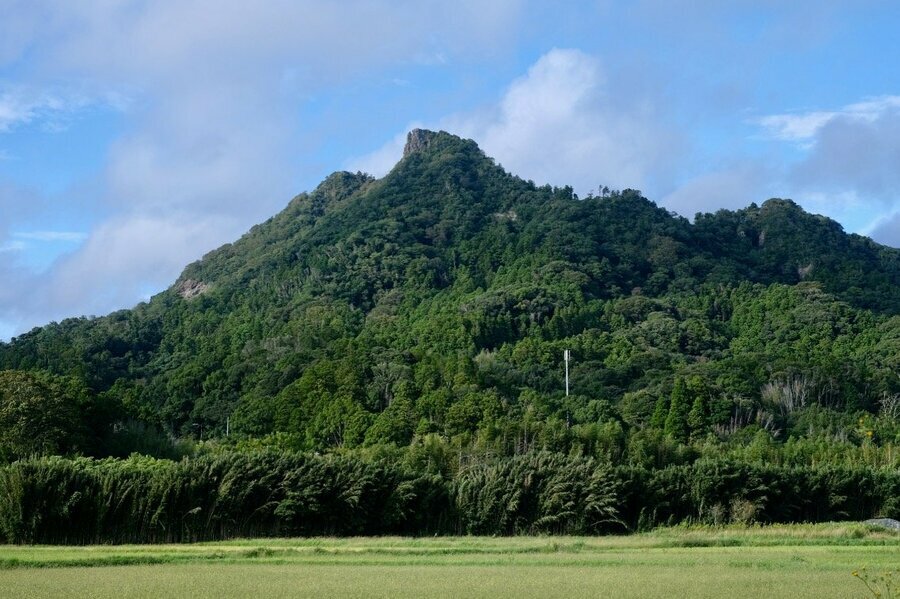 標高300mちょっとしかないのにも関わらず、関東百名山に選ばれる実力とはいかに！（撮影：BRAVO MOUNTAIN編集部）