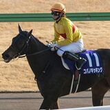 キャリア9年目で通算166勝