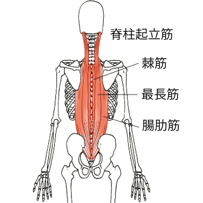 引用元：美ST