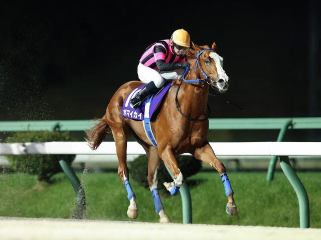 ネクストスター盛岡を制したポマイカイ(提供：岩手県競馬組合)