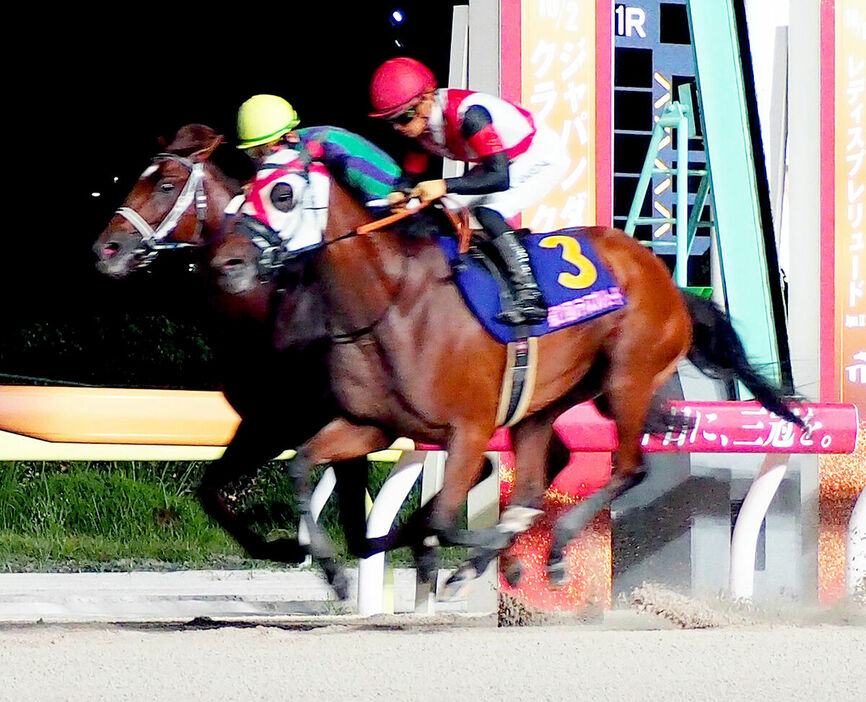 レディスプレリュードを制したグランブリッジ（右）（カメラ・松井　中央）