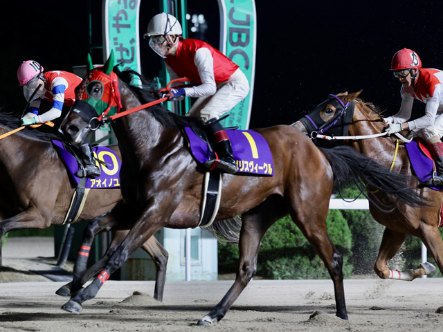 カペラ賞を制したポリスヴィークル(提供：佐賀県競馬組合)