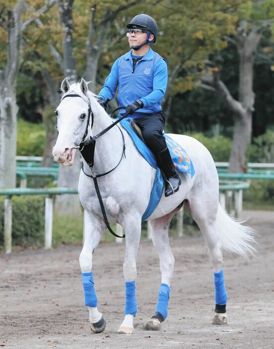 馬場へ向かうハヤヤッコ