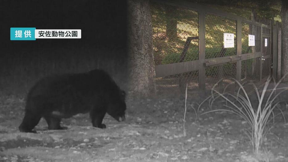 安佐動物公園で再びクマか　閉鎖エリア拡大　広島市安佐北区