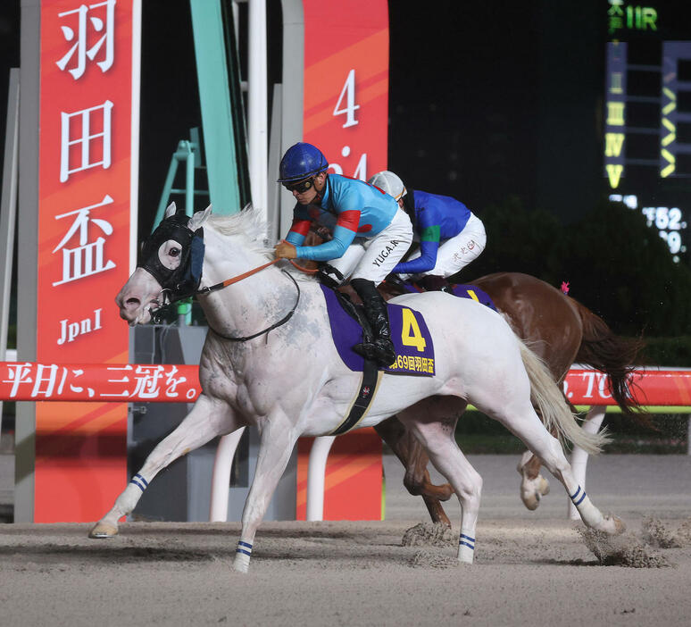 24年の羽田盃を制したアマンテビアンコと川田将雅騎手