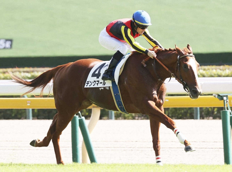 ＜東京5R＞新馬戦を制したデンクマール（撮影・村上　大輔）