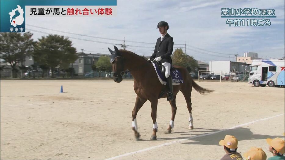 地元児童が馬と触れ合う体験